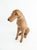 1980s Large 27" Life-Size Hand-Woven Wicker Airedale Terrier Sculpture — Made in the Philippines For Sale - Image 5 of 12