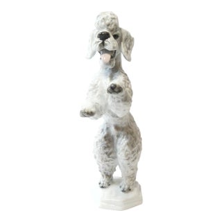 Vintage Rosenthal Bavaria Begging Poodle Figurine – Hand-Painted Porcelain Model 5155 – German Art Dog, C. 1950 For Sale