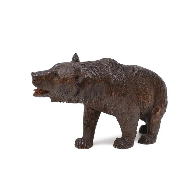 Black Forest Glass Eye Bear, Germany, 1920s For Sale - Image 6 of 9