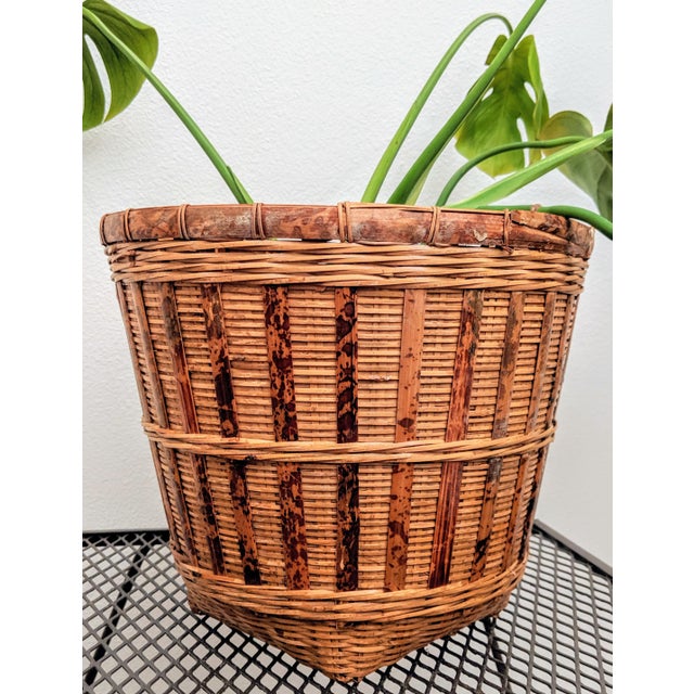 Organic Modern Rattan Planter Basket Chairish