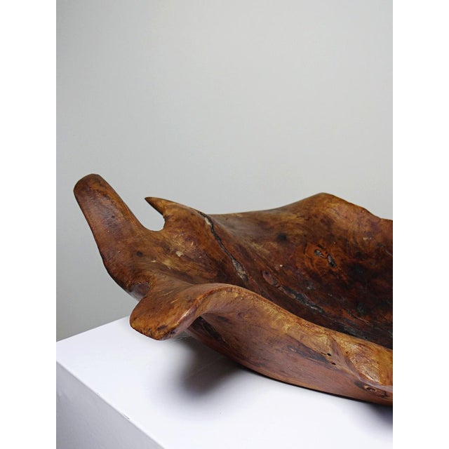 Large Bowl in Dark Raw Wood, 1950s For Sale - Image 9 of 17