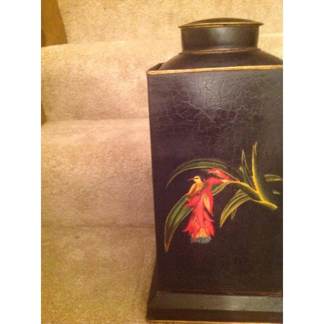 English 1990s English Traditional Tole Tea Caddy with Humming Bird Design For Sale - Image 3 of 13