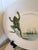 Ceramic Vintage Marcel Guillot Ceramic Frog Plates - Set of 6 For Sale - Image 7 of 17