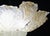 Glass 1970s Abu Dhabi, Murano Glass Gold Flush Mount For Sale - Image 7 of 11