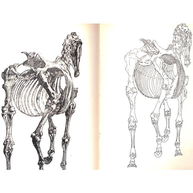 "Life of George Stubbs r.a" 1898 Gilbey, Sir Walter [Bart.] For Sale In New York - Image 6 of 12