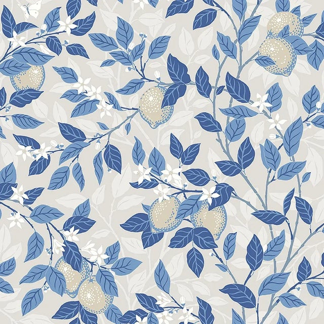 Boråstapeter Citronträd Wallpaper In Taupe And Blue For Sale