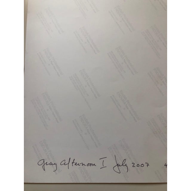 2000 - 2009 Peter C. Jones 1, Gray Afternoon, Large Format Flower Photo 24X20 Color Photograph Beach House, 2005 For Sale - Image 5 of 6