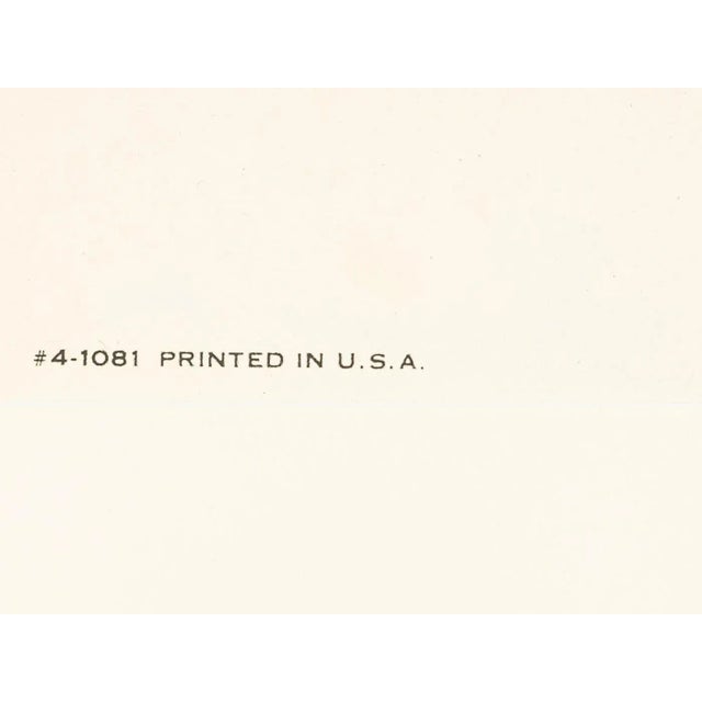 Israel Fly Two by David Klein, 1960s For Sale - Image 14 of 17