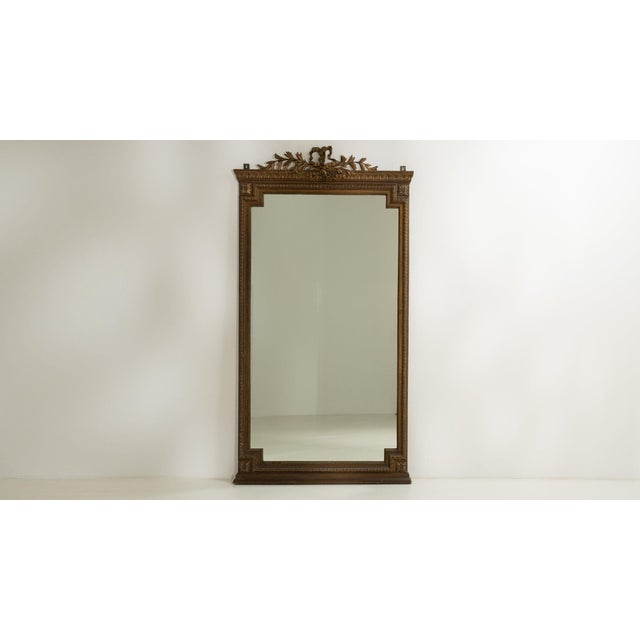 19th Century 19th Century France Louis XVI Brown Wood Full-length & Floor Mirrors For Sale - Image 5 of 9