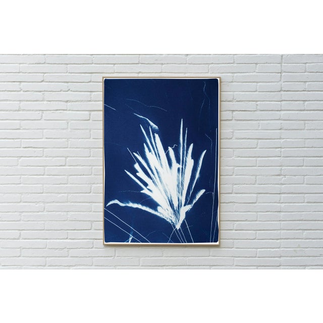 This is an exclusive handprinted limited edition cyanotype. "Sparkling Firework Burst" is a beautiful cyanotype of the New...