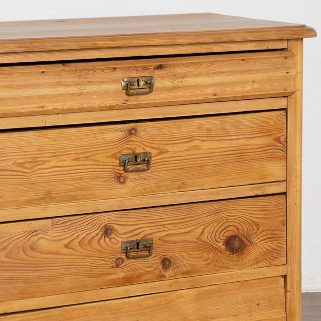 19th Century Four Drawer Pine Chest of Drawers, Denmark For Sale - Image 10 of 13