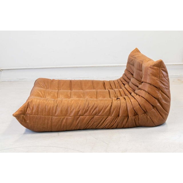 1970s Togo Chaise Lounge in Pine Leather by Michel Ducaroy for Ligne Roset, 1974 For Sale - Image 5 of 18