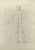 Anatomy Studies is an etching realized by Nicholas Cochin in 1755. Good conditions with foxing and folding. The artwork is...