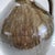 2000 - 2009 Original Charlie West Alkaline Glaze "Buggy" Jug For Sale - Image 5 of 8