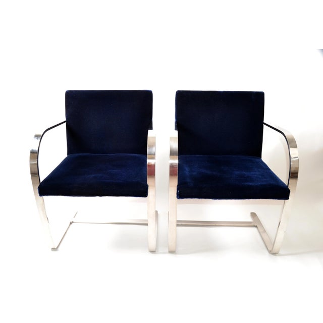 Mies Van Der Rohe for Knoll Stainless Steel Brno Chairs Blue Velvet 1977, Pair For Sale - Image 12 of 13