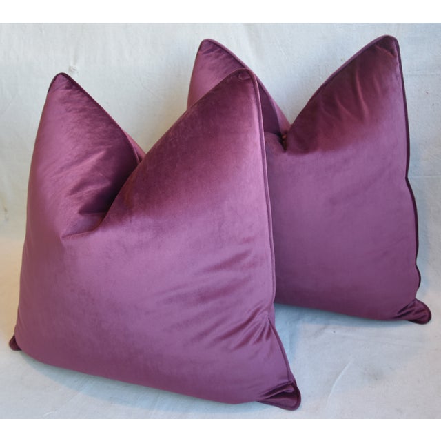 Aubergine Violet Velvet Feather Down Pillows 24 Square Pair
