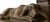 Antique Cast Iron Sleeping Dog Manor Gate Bookends (A Pair) For Sale - Image 4 of 16