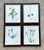 English Vintage Botanical Herbarium Prints in Wood Frames - Set of 4 For Sale - Image 3 of 13