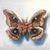 Repose by Emma Hirst | Oil Painting of a moth with detailed wings on a light background For Sale