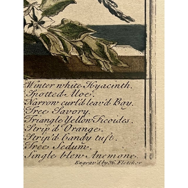 Late 20th Century Framed Prints, 12 Months of Flowers by Robert Furber Orig. 1730 - Set of Four For Sale - Image 15 of 18