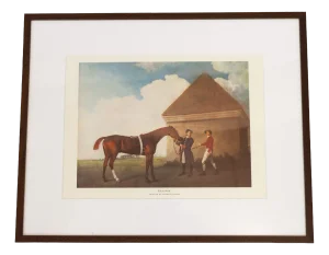 George Stubbs, Chestnut Horse Eclipse, Late 20th Century, Print, Framed