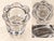 19th Century Cut Crystal Port Glasses by Jean Daum, 1890s, Set of 8 For Sale - Image 5 of 6