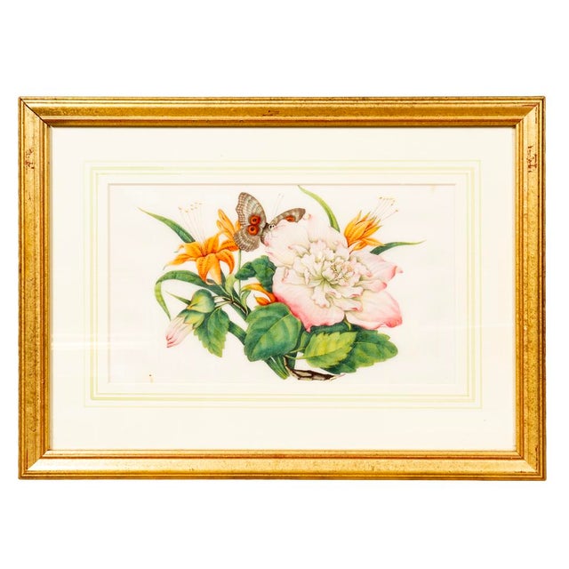 Set of Six Chinese Export Framed Pith Paper Watercolor Botanicals For Sale In Boston - Image 6 of 8