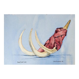 Vintage Primative Boar Tusk Comb Still Life Watercolor Painting For Sale