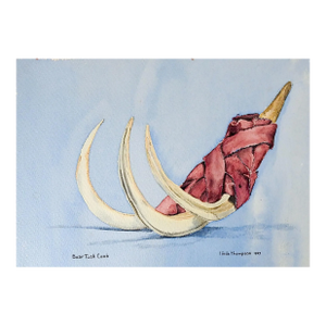 Vintage Primative Boar Tusk Comb Still Life Watercolor Painting
