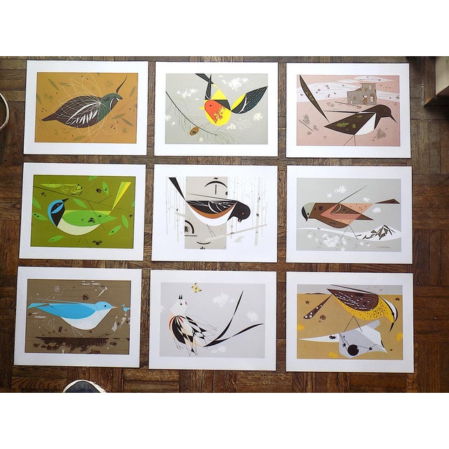 Vintage Charley Harper Modernist Abstracted Bird Lithographs (7.6" X 6.3") - Set of 9 For Sale - Image 11 of 11