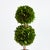 Introducing a novel idea, real English boxwoods with their own standard root ball, ready to drop in to your favorite...