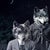 Early 21st Century Never Forget the Forest - Wolves by Marcin and Kate Owczarek | Digital Art of people with wolf heads For Sale - Image 5 of 5