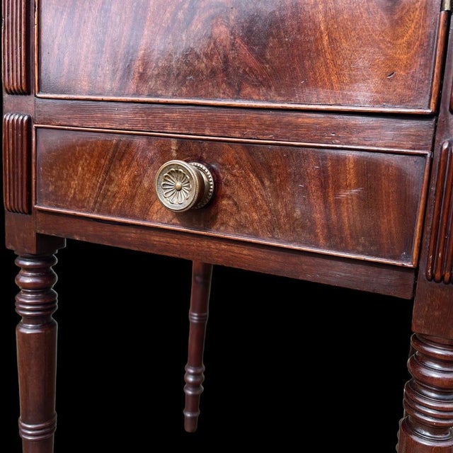 Early 19th Century Antique Regency Mahogany Bedside Cupboard, 1820 For Sale - Image 5 of 12