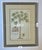 English Vintage Framed Georg Dionysius Ehret Papaya Botanical Reproduction Print, After 1750 For Sale - Image 3 of 5