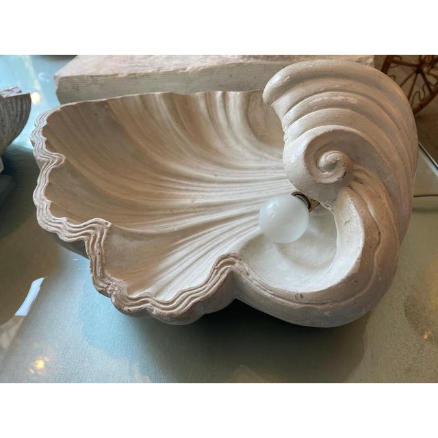 Plaster Shell Wall Lamp, 1950s For Sale - Image 12 of 13