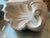 Plaster Shell Wall Lamp, 1950s For Sale - Image 12 of 13