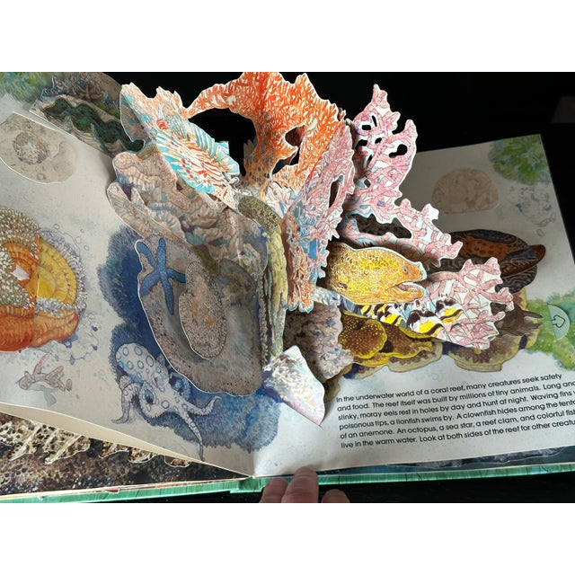 Sea Animal Pop Up Book For Sale - Image 4 of 8