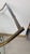 Trolley in Wood, Brass and Glass Shelves attributed to Cesare Lacca for Cassina, 1950s For Sale - Image 12 of 16