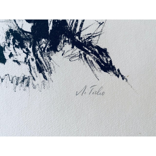 Early 20th Century Anna Ticho, German Israeli Expressionist Abstract Bush in Judea Lithograph For Sale - Image 5 of 8