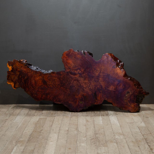 Vintage California Redwood Burl Coffee Table c.1960 For Sale - Image 4 of 11