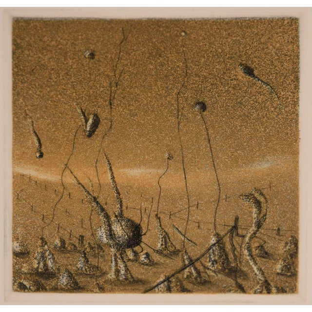 Surrealism "Sundays Garden" - 1975 Surrealist Lithograph on Paper by Jim Crabb For Sale - Image 3 of 5