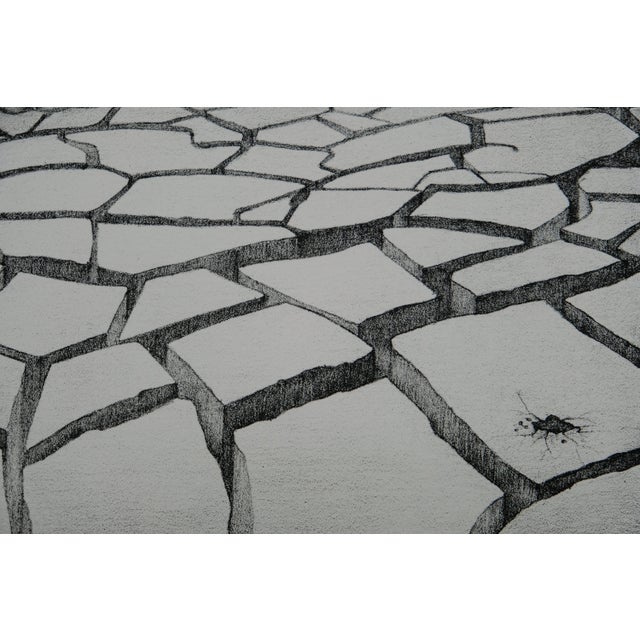 Contemporary Gochka Charewicz, Terre aride, Lithograph For Sale - Image 3 of 7