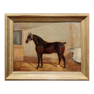 Portrait of Lord Drewton an Arabian Racehorse-19th C. Oil Painting by Albert Clark For Sale