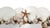 Late 20th Century Shell Seashell White Wall Mirror For Sale - Image 5 of 14
