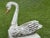 Shabby Chic Wooden Swan Carved and Painted Decoy Sculpture For Sale - Image 3 of 10
