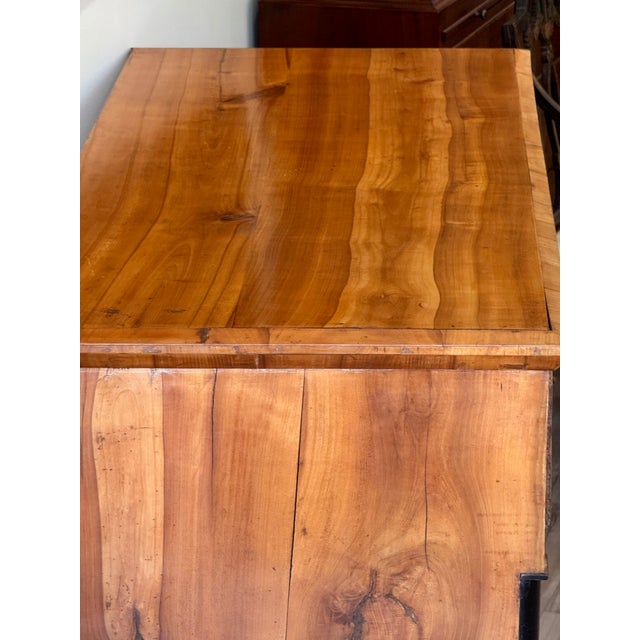 Early 19th Century Biedermeier Commode For Sale - Image 10 of 11