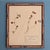 Swiss Herbarium Panels from École Dagriculture de Grangeneuve, 1920s, Set of 4 For Sale - Image 16 of 18