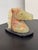 Design Plus Gallery presents a Carved Translucent Stone Horse Head Sculpture by Amsterdam Sauer. The piece showcases a...