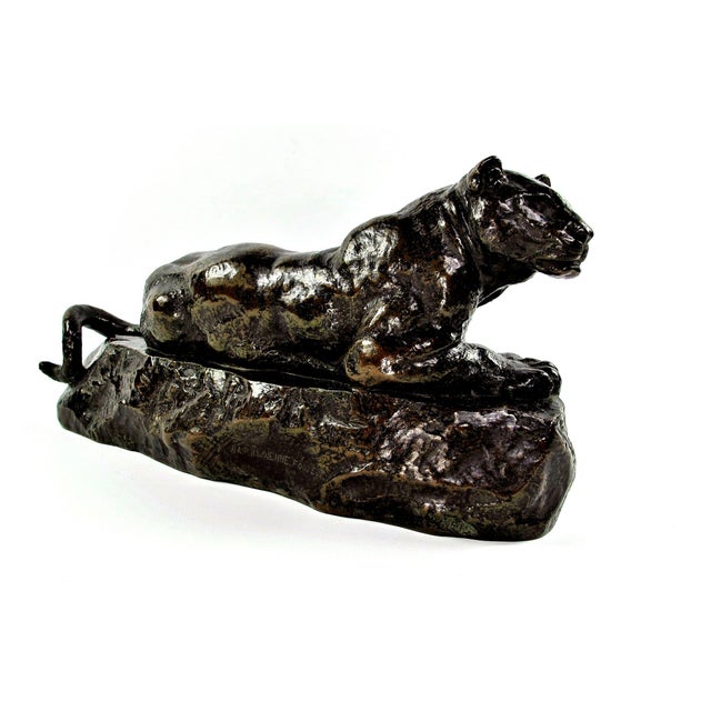 Very beautiful bronze proof with brown patina nuanced with black representing an observing panther, crouching on a rock....