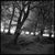 Not Yet Made - Made To Order Paul Cooklin, Woodland, Exmoor, Edition of 50 For Sale - Image 5 of 5